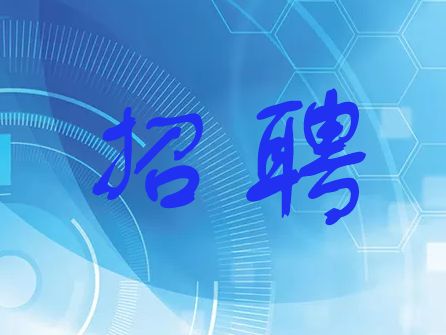 技术支持人员